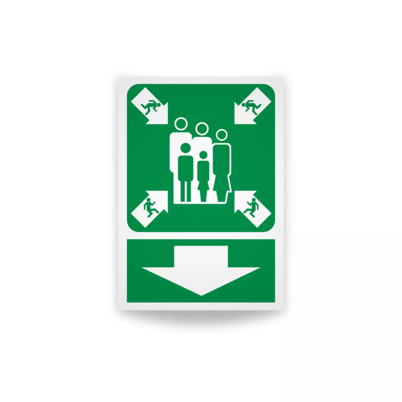 Rotulo de ruta de evacuacion  - Punto de renion flecha abajo| Cod. EV-881 Señalización Seguridad Industrial
