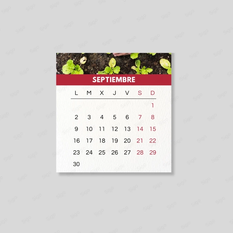 Block Calendario