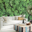 Vinil impreso aplicado en paredes con decoración personalizada.