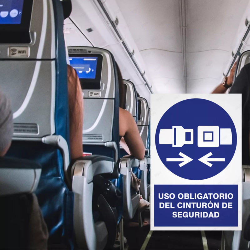 ‣ Rótulo: Uso obligatorio del cinturón... | SIGO