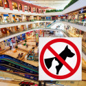 ‣ Rótulo Prohibición: No Ingreso con Animales | SIGO