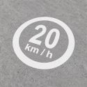 ‣ Señalización Horizontal 20 km/h | SIGO