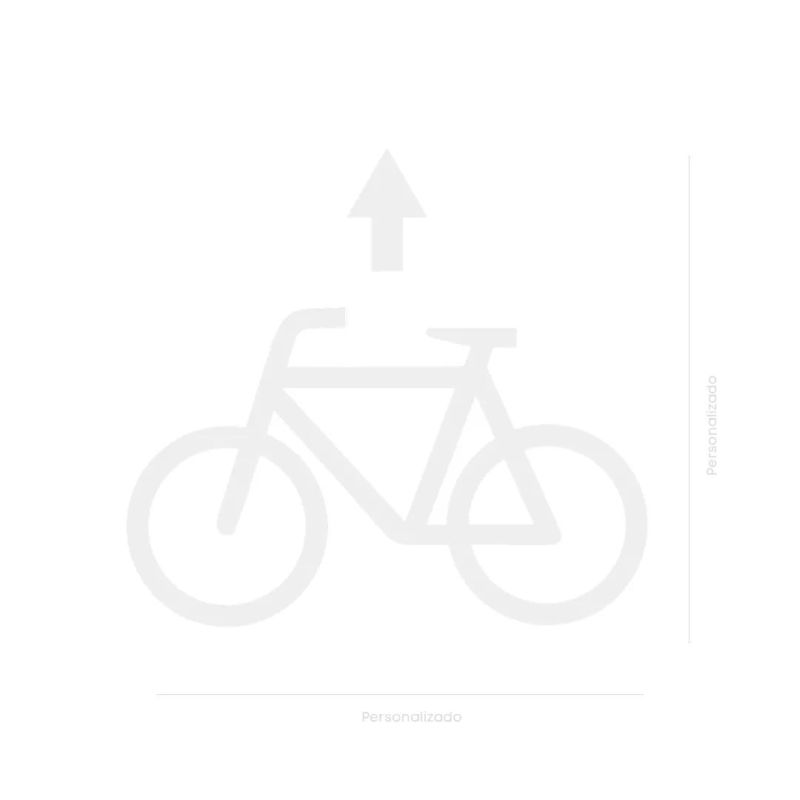 ‣ Señalización Ciclovía con Pintura | SIGO