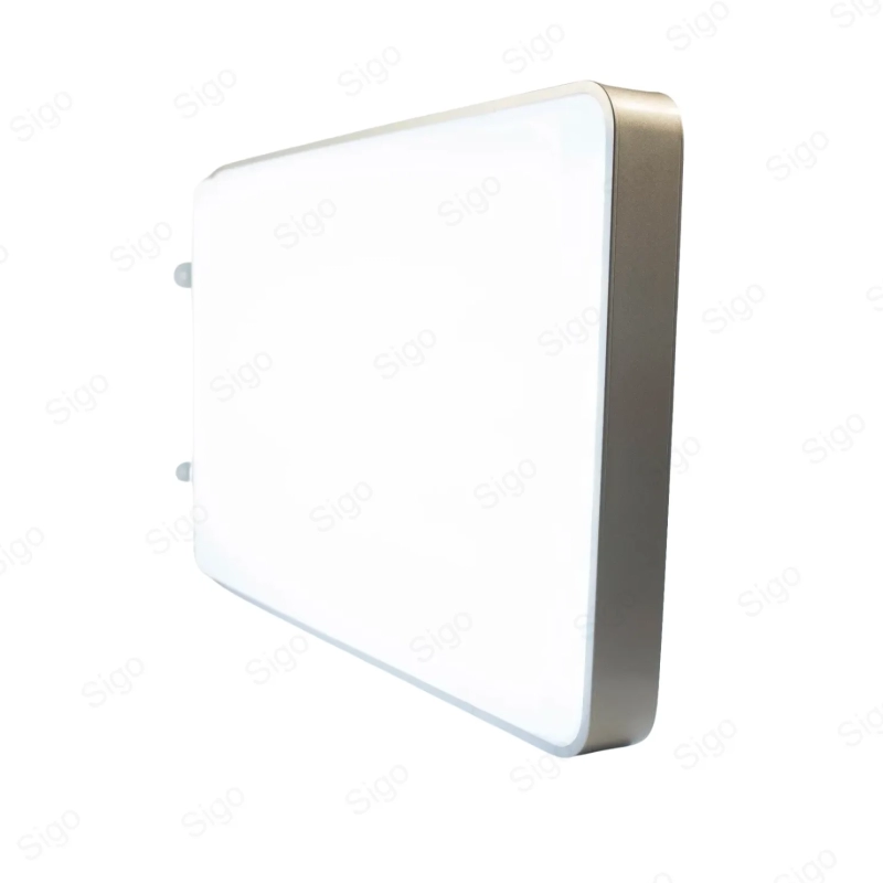 ‣ Caja de Luz Rectangular | Sigo