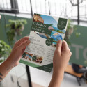 Volantes Publicitarios Tamaño Carta Guatemala | Sigo