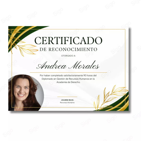 ‣ Diploma Tipo Certif... de Alta Calidad | SIGO
