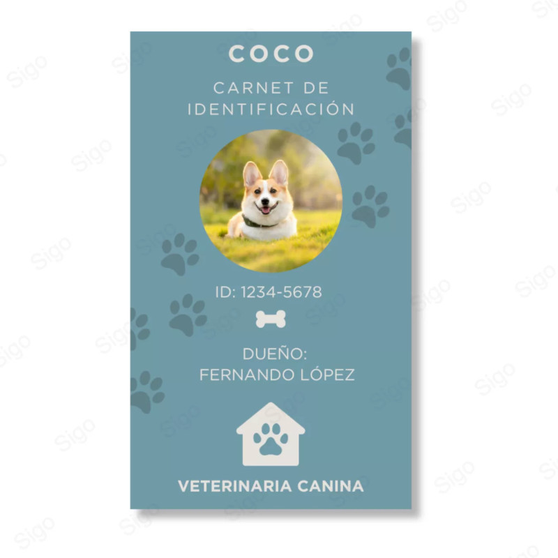 Servicio de Impresión de Carnet para Mascotas - Carnets de PVC - SIGO Expertos en Impresión Digital Guatemala