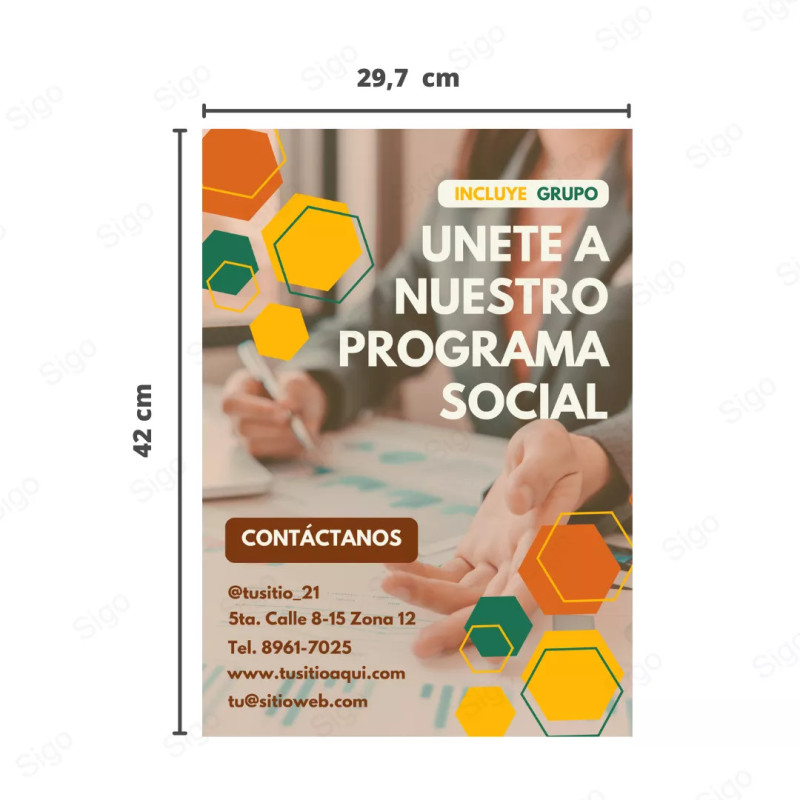 Poster Tamaño A3